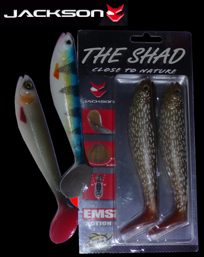 Jackson Shad.jpg